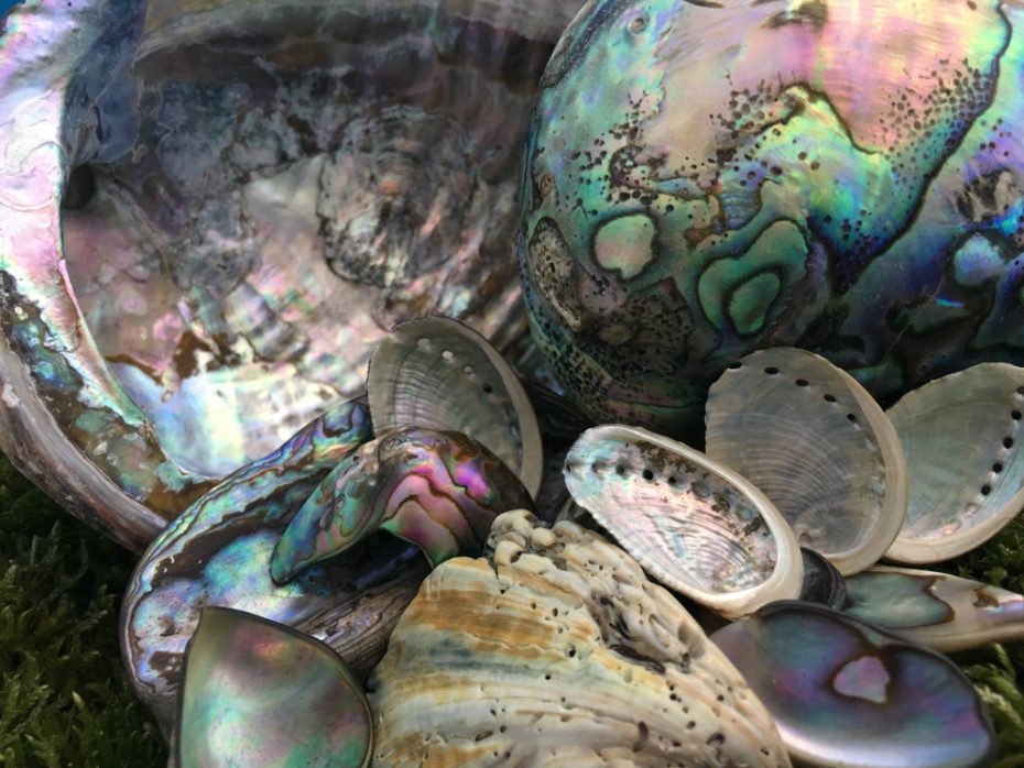 Best Crystals for Improving Your Love Life