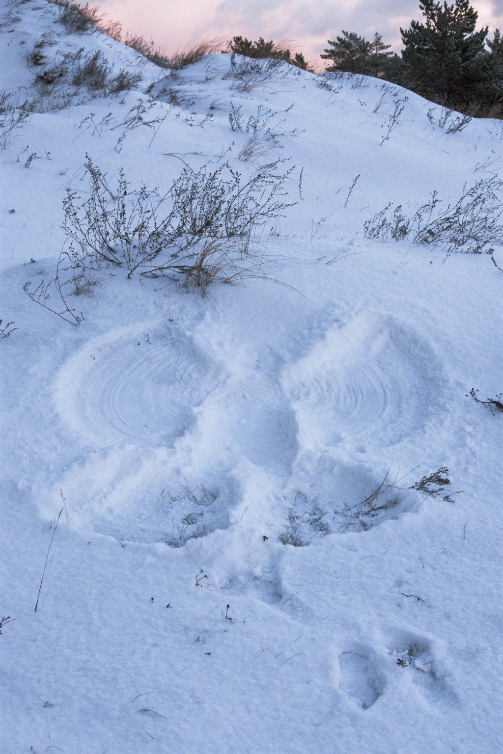 The 15 Best Snow Angel Quotes as Instagram Captions