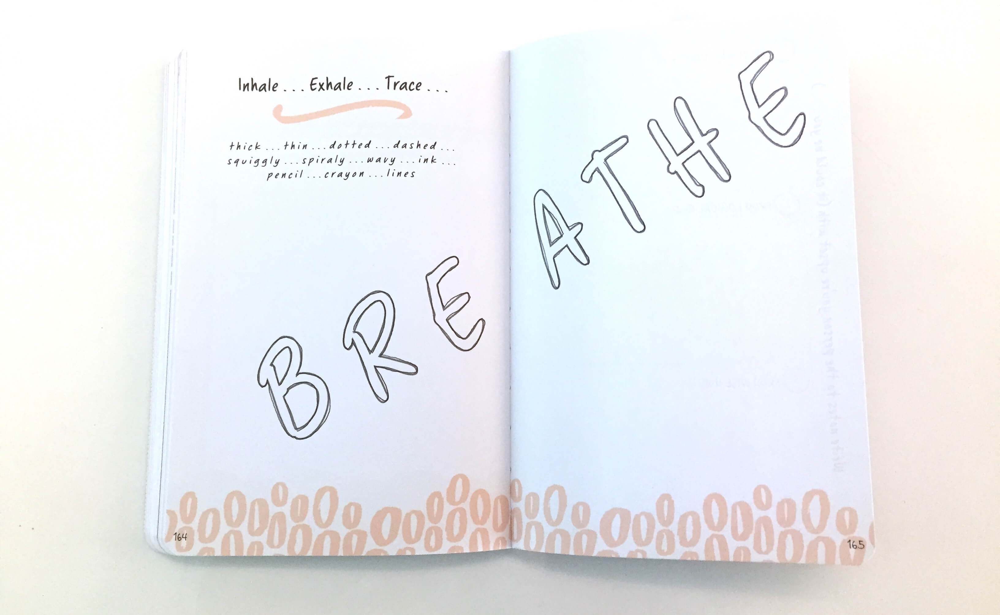 Review of 'Put Your Feelings Here' DBT Journal for Teens