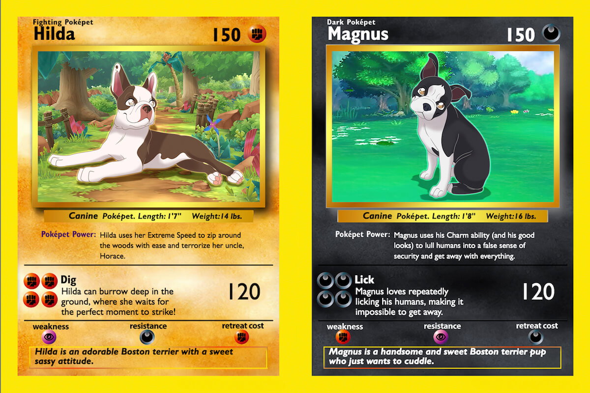 Poke Pet Shop Puts YOUR Pets on Custom Pokmon-Style Cards