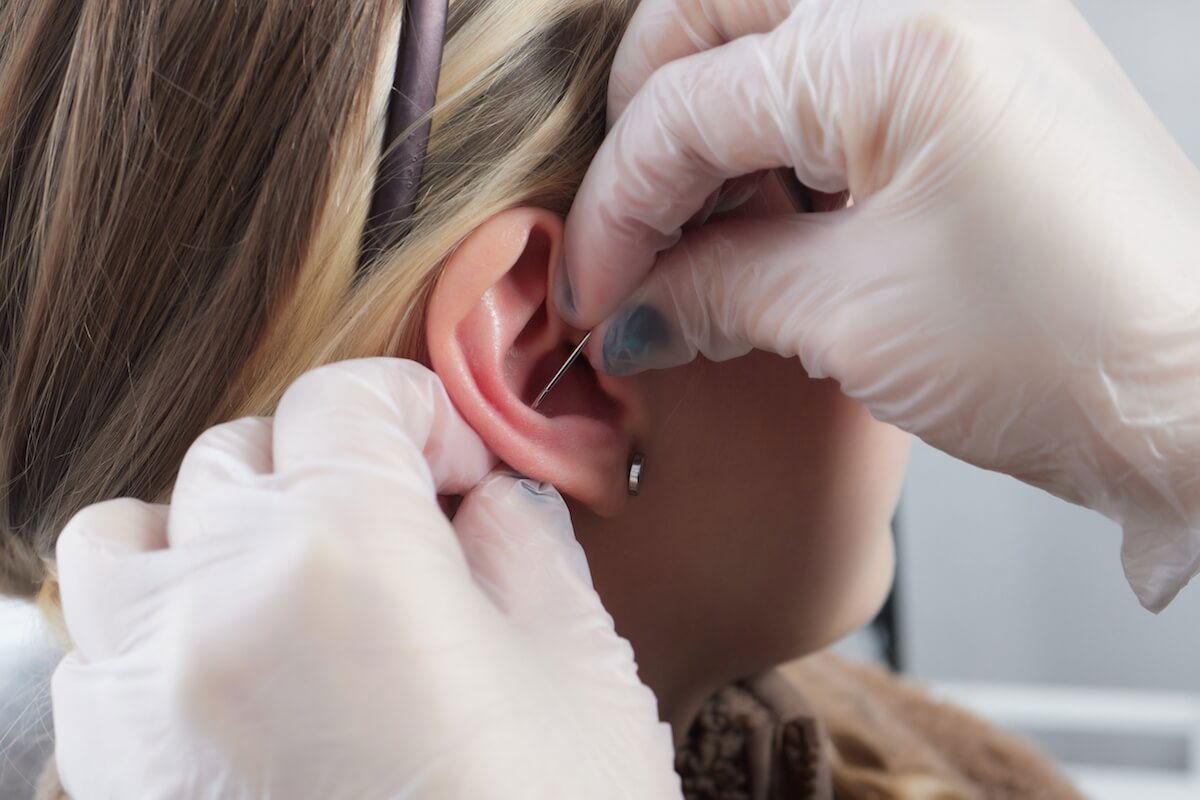 Woman getting conch piercing: Shutterstock. piercings on an ear. Conch and helix piercings close up.