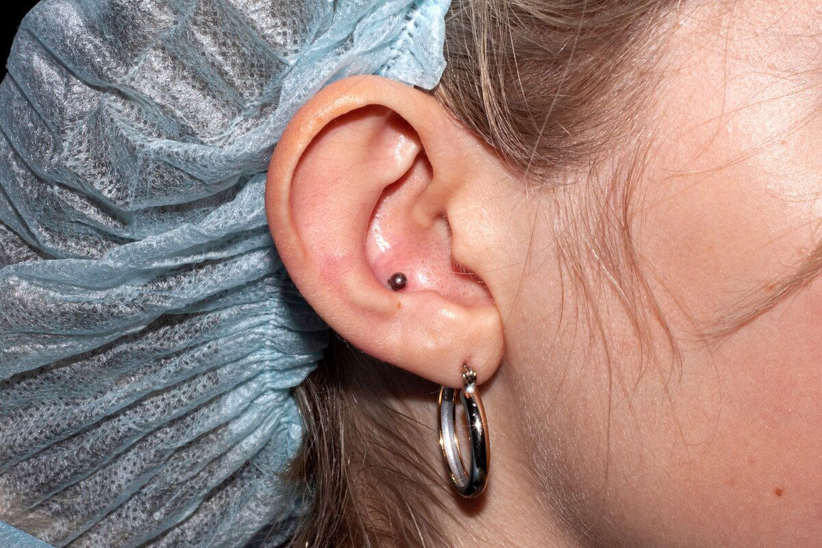 Woman with small conch piercing in ear: Shutterstock. Female ear cartilage conch piercing freshly done with classic ball titanium labret. A healed earlobe piercing with a gold ring.