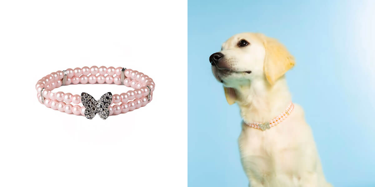 What to Know About Dolly Parton's Doggy Parton Pet Brand
