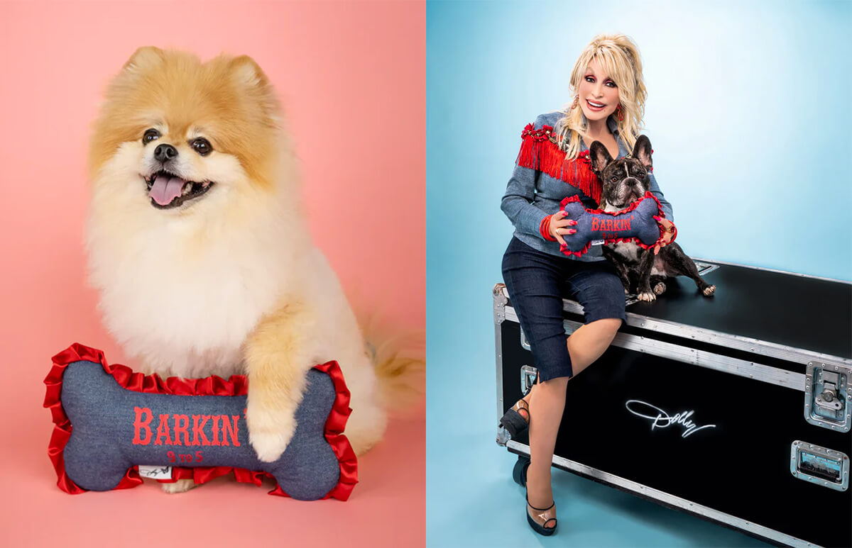 This Year's Best Gifts for Pet Parents