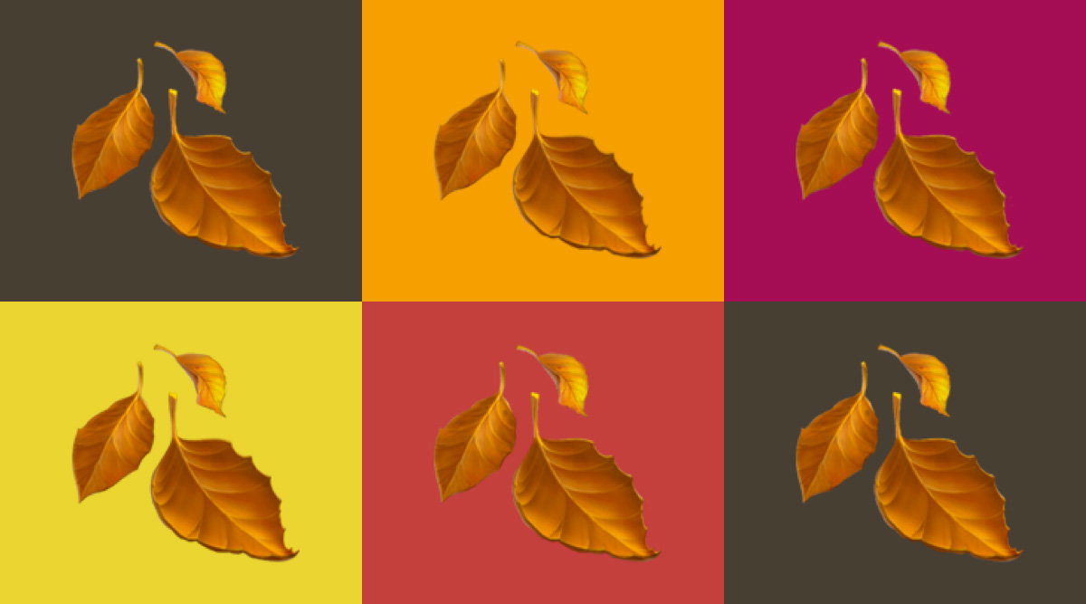 What Does the 🍂 Fallen Leaf Emoji Mean in a Text From a Crush?